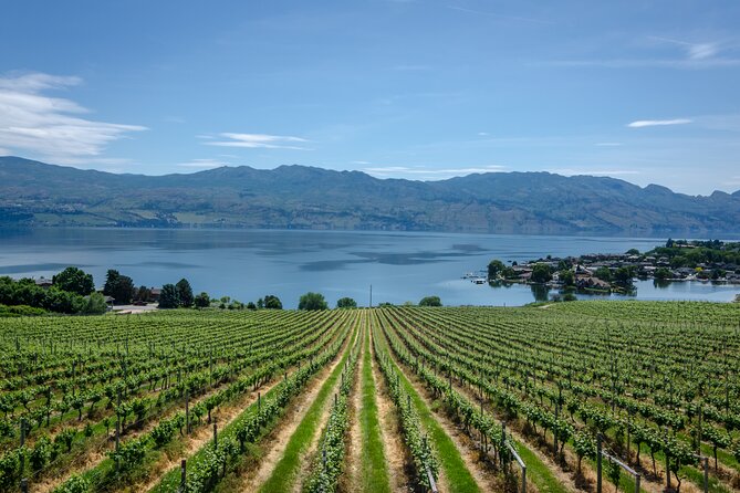 West Kelowna Full Day Lunch Wine Tour-Incl Tastings & Guide Grat - Tour Overview and Details