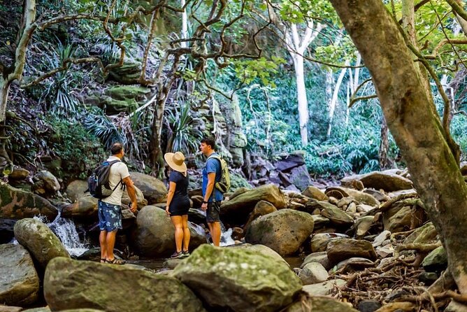 West Maui Adventure Tour With Private Guide