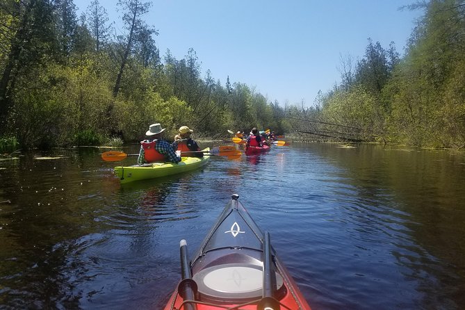 Wetlands Kayak Tour