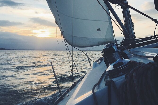 Whale & Dolphin Watching Boat Trip in Tenerife On a Sailing Boat (3 Hr)