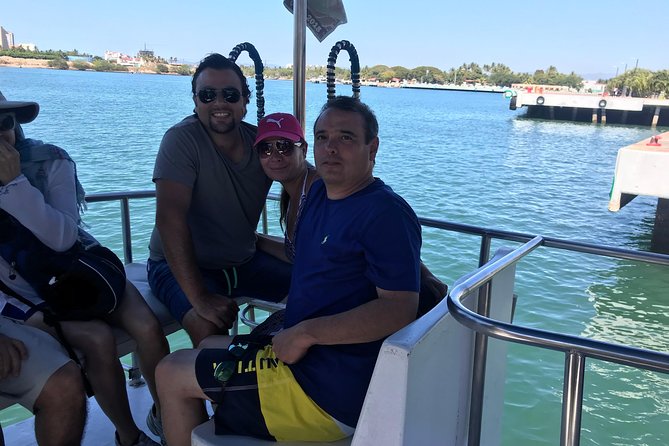 Whale & Dolphin Watching Cruise in Puerto Vallarta All Inclusive
