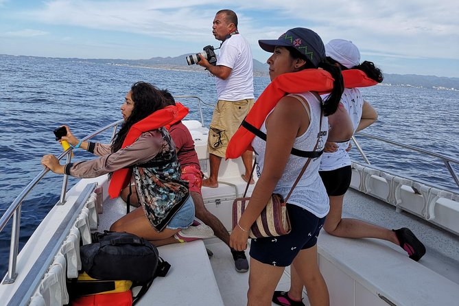 Whale Encounter Puerto Vallarta