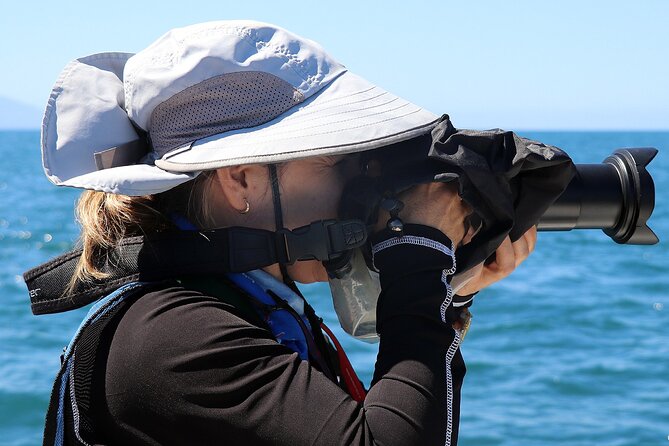 Whale Watching Afternoon Departure