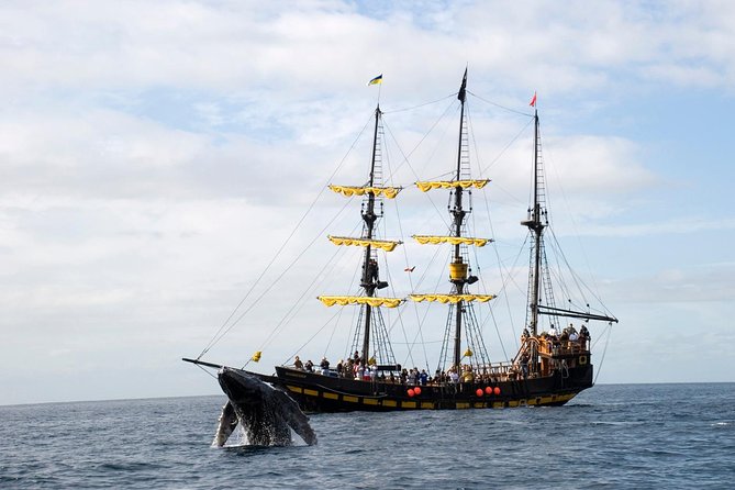 Whale-Watching Pirate Ship Cruise in Los Cabos