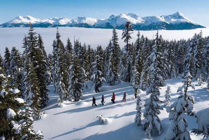 Whistler Snowshoeing Adventure