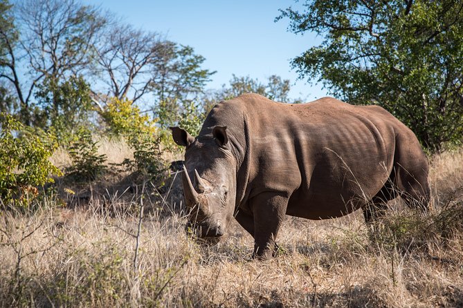 White Rhino Walk in the Mosi Oa Tunya - Overview of the White Rhino Walk