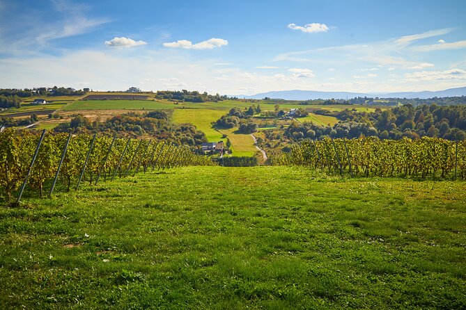 Wieliczka Vineyard: Wine Tasting With Local Snacks - Seasonal Local Wine Snacks