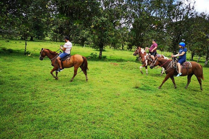 Wild Life And Horseback Riding Through The Rain Forest