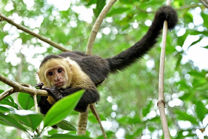 Wildlife Rescue Center. Private Tour - Encounter With Diverse Wildlife