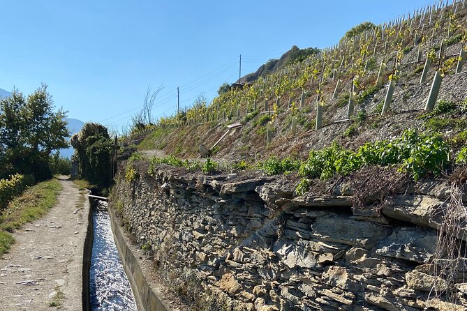 Wine and Dine Vineyard Walk in Sion