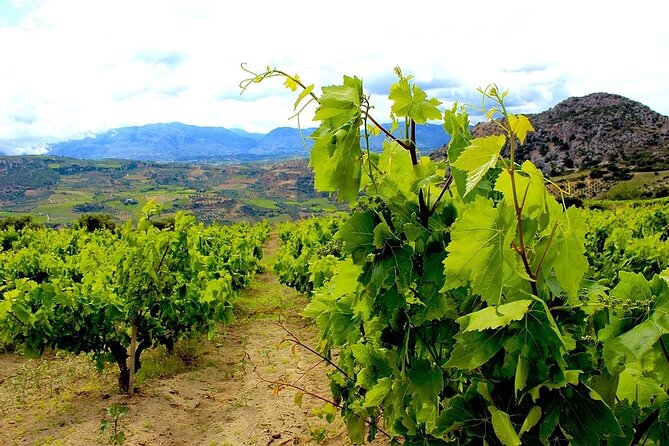 Wine and Food of Crete, Heraklion - Inclusions and Accessibility