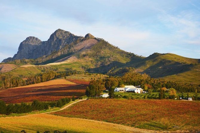 Wine Beer and Biltong Safari – Stellenbosch
