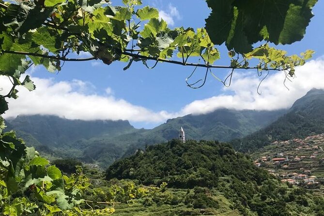 Wine Day Tour & Lunch in the Vineyard - Whats Included in the Tour