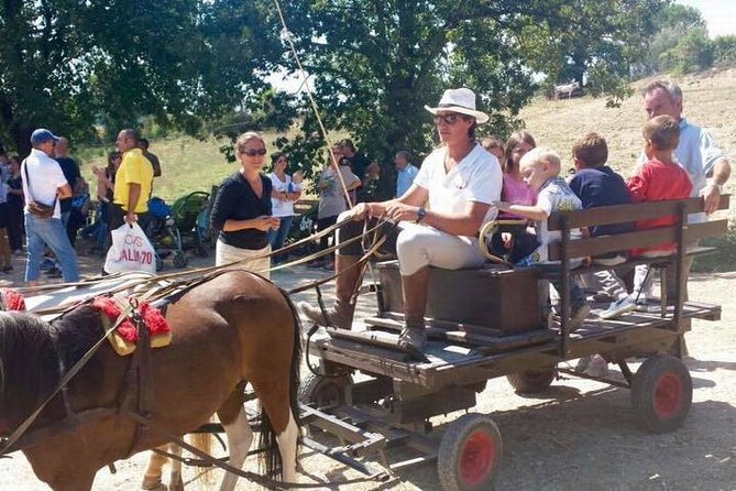 Wine Tasting and Horseback Riding in Montepulciano, in Tuscany From Rome