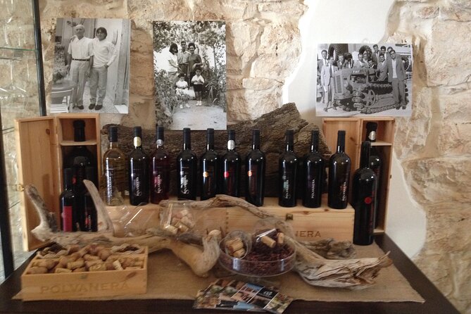 Wine Tasting Experience in the Apulian Countryside - Overview of the Winery Experience