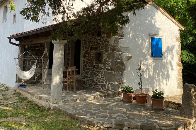 Wine Tasting in the Oldest Dated Cellar From 1683 in Vipava - Activity Overview