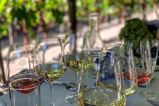 Wine Tasting Including Lunch