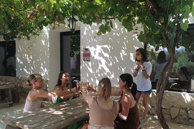 Wine Tasting Tour (Private Tour)