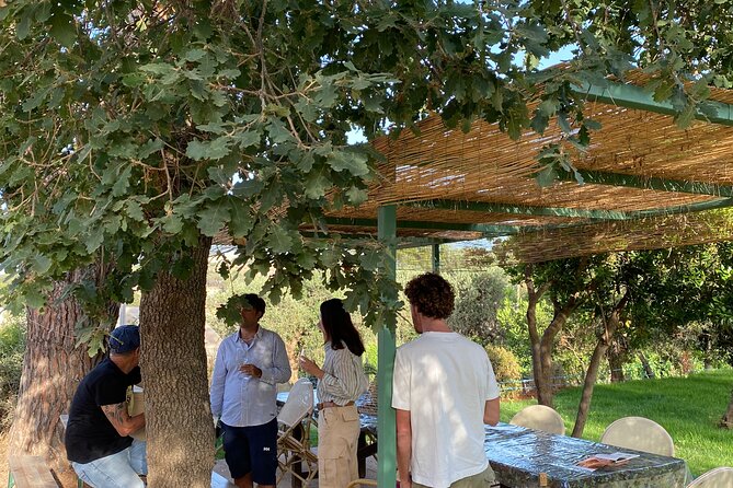 Winery Tour and Tasting With the Winemaker in Elba Island