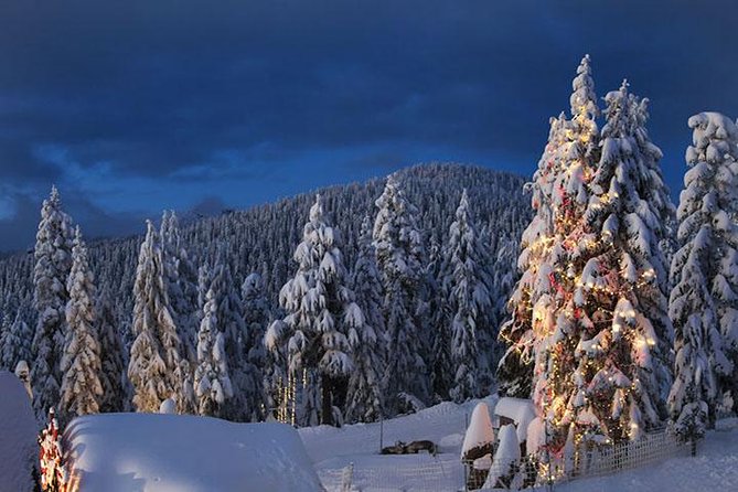 Winter Fun at North Shore Mountains- Grouse, Seymour & Cypress - Overview of Winter Activities