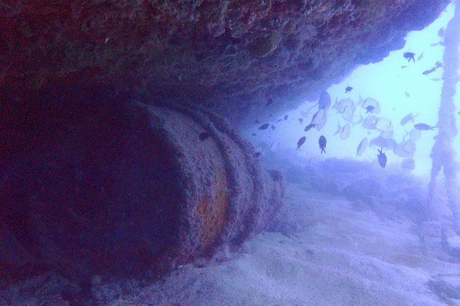 Wreck Exploration Ricardo-18m (Certified Diver) - Location and Meeting Point