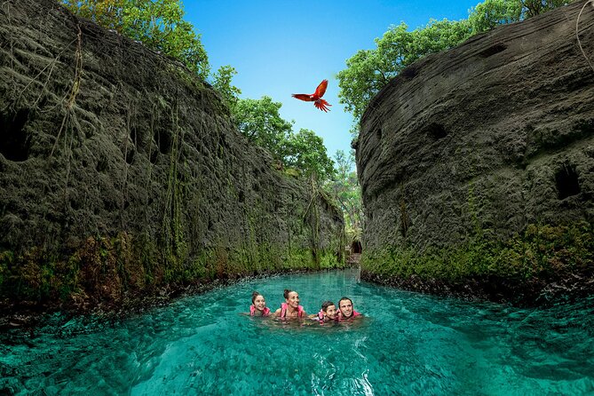 Xcaret Park Day Trip, Transportation and Cultural Night Show - Overview and Admission Details