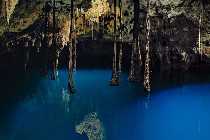 Xenotes