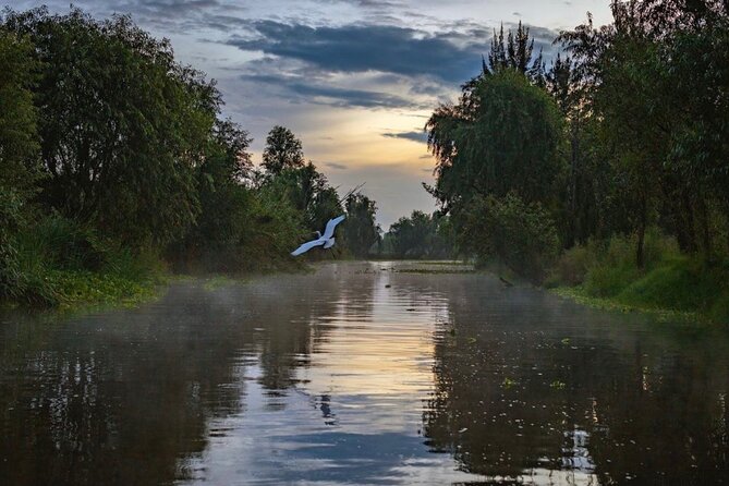 Xochimilco Sunrise From Mexico - Itinerary and Activities
