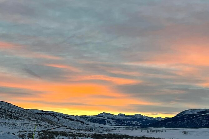 Yellowstone Full-Day Upper Loop With Wildlife Adventure W/Lunch