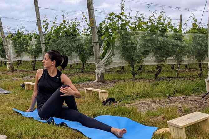 Yoga in Vineyards and Brunch