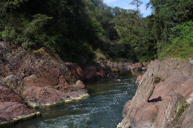 Yungas and El Rey National Park 4×4 Full Day Tour From Salta