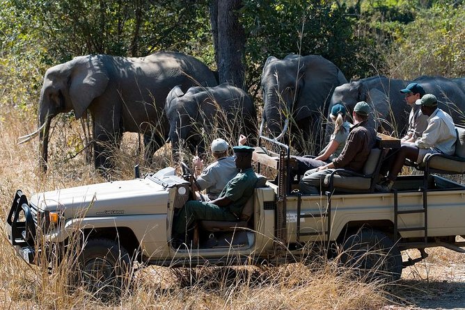 Zambezi Sunset Cruise + Game Drive Safari With Hotel Pick up