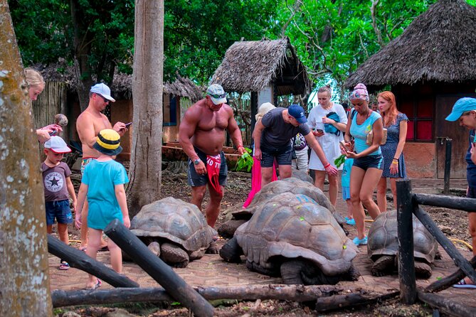 Zanibar Prison Island Boat Trip - Tour Overview and Highlights