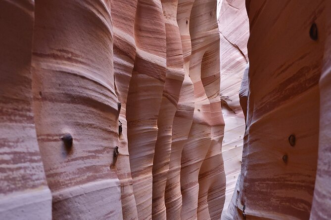Zebra Slot Canyon Hiking Tour in Escalante - Tour Overview and Highlights