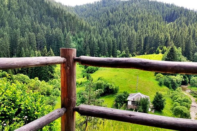 Zip Line & Via Ferrata Experience in the Rhodope Mountains - Experience Overview