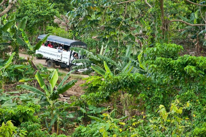 Zip Lines Samana and Limon Waterfall