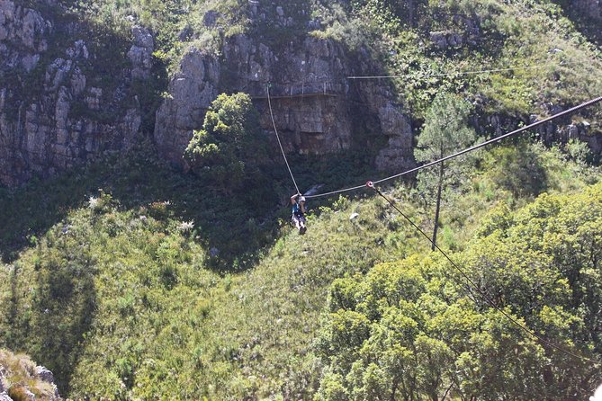Ziplining Elgin
