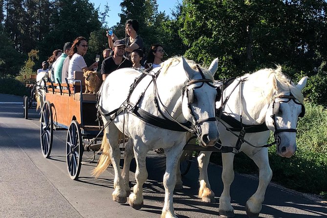 1h – Carriage Trail - Good To Know