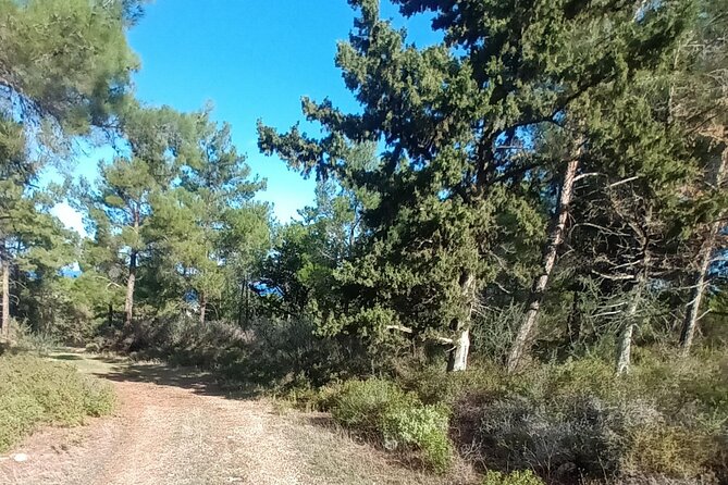 2 Day & 1 Night Private Nature Walking in Unspoilt Kyrenia Range - Explore Kyrenia Harbour