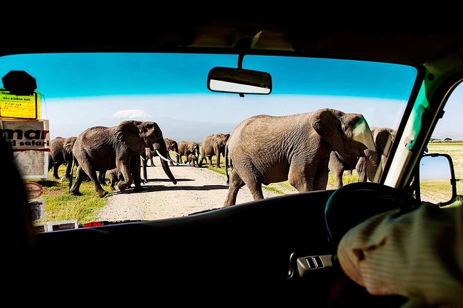 2-Day Amboseli National Park Safari- Daily Departures - Good To Know