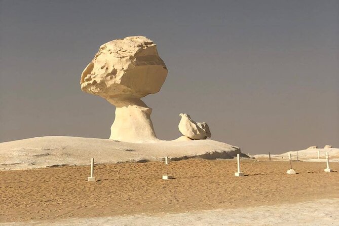 2-Day Egypt Desert Rose Tour - Traveler Reviews