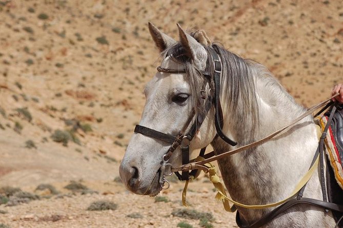 2-Day Horseback Riding in Moroccos Atlas Mountains From Marrakech