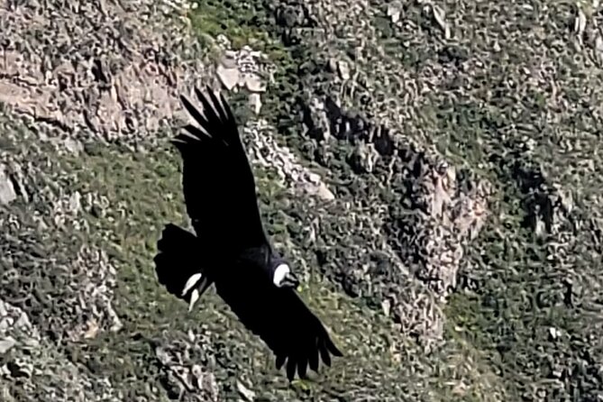 2-Day Tour in Colca Valley - Tour Overview