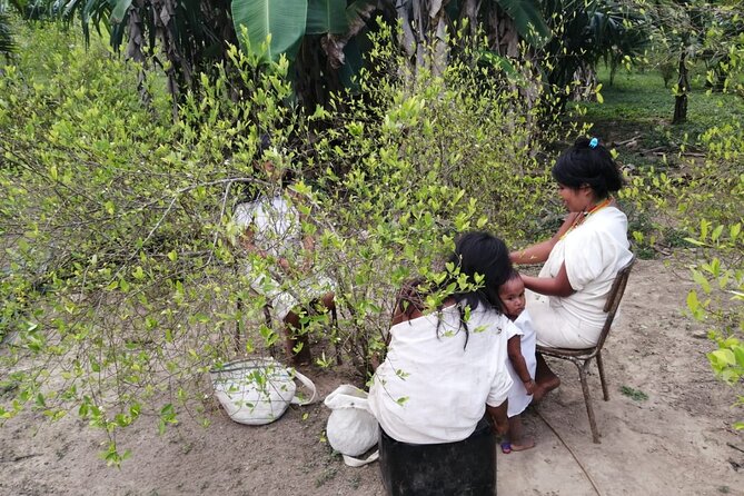 2-Day Tour to Ancestral Heritage From Santa Marta - About Your Stay