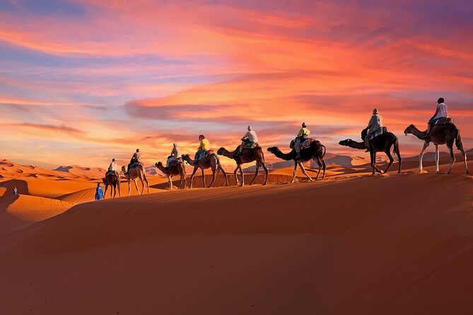 2-Day Tunisia Sahara Desert Camel Trek From Douz - Good To Know