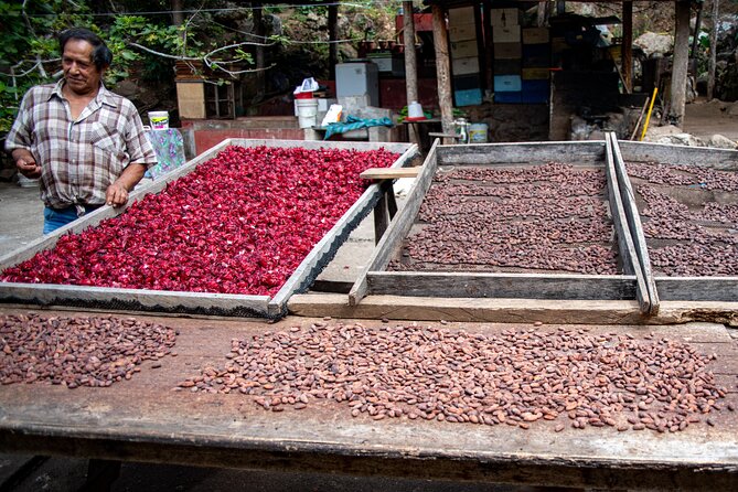 2 Days/1 Night Tour: Be Immersed in a Cocoa Farm in the Jungle of Cusco - About Your Stay