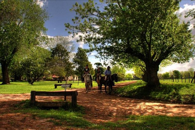 2-Days and 1 Night in Areco - Good To Know