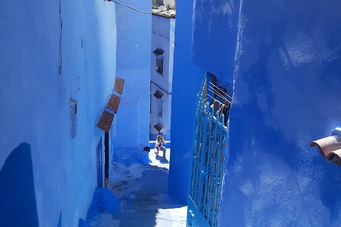 2 Days Private Tour From Casablanca to Chefchaouen - Good To Know