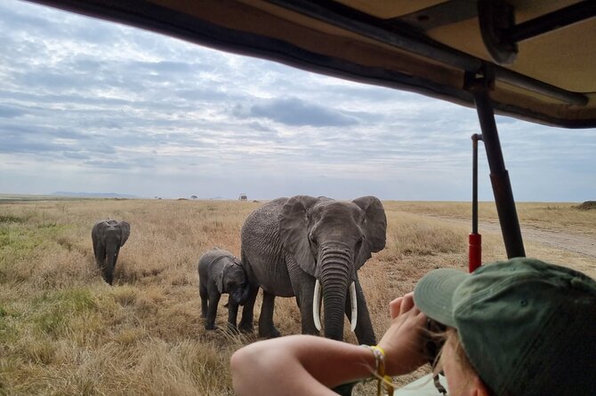 2 Days Safari in Tarangire and Ngorongoro Crater - Good To Know