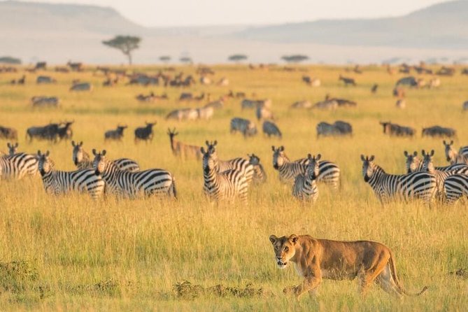 2 Days Selous Game Reserve Safari From Zanzibar or Dar Es Salaam - Exploring Selous Game Reserve